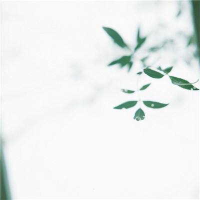 正统三国志手游